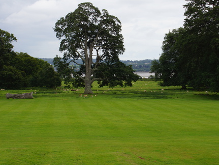 DSC02386