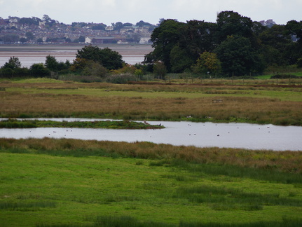 DSC02392