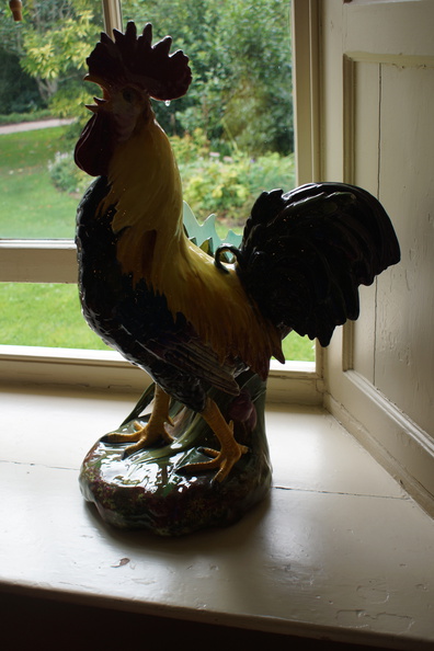 DSC02470.jpg
