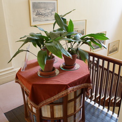 DSC02499