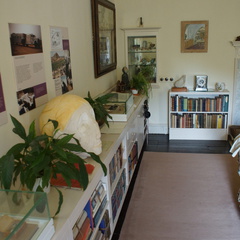DSC02522