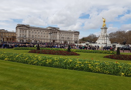 Buckingham Palace, Westminster Cathedral