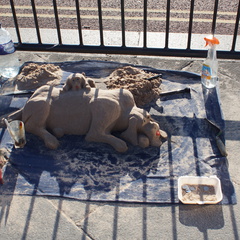 DSC03036