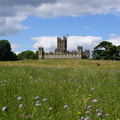 DSC02954