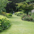 DSC02974