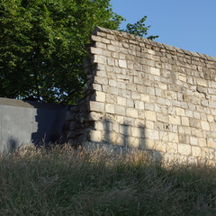DSC03117