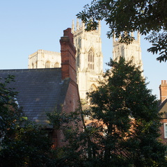 DSC03136