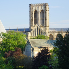 DSC03146