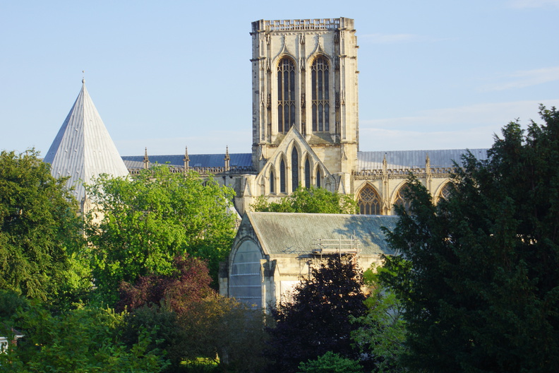 DSC03146.jpg
