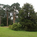 DSC03271