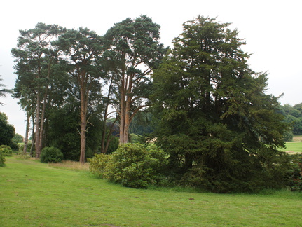 DSC03271