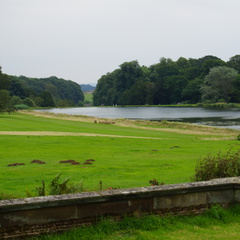 DSC03277