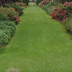 DSC03278