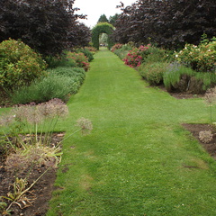DSC03280