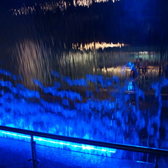 DSC03415