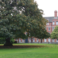 DSC03490