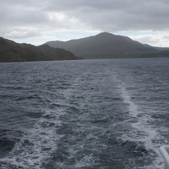 DSC03508