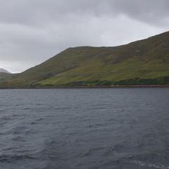 DSC03512