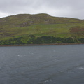DSC03513