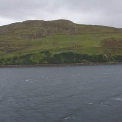 DSC03513