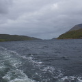 DSC03518