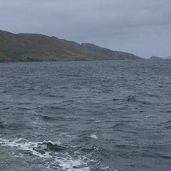 DSC03524