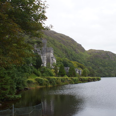 DSC03544