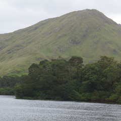 DSC03547