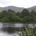 DSC03548