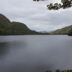 DSC03551