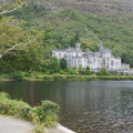 DSC03554