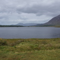 DSC03558