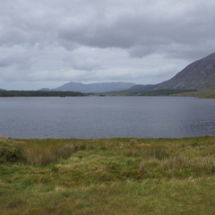 DSC03558