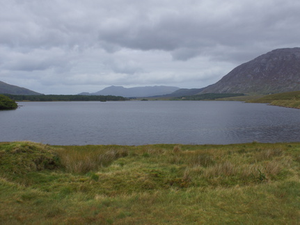 DSC03558