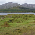 DSC03560