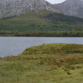 DSC03563