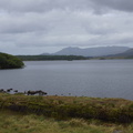 DSC03567