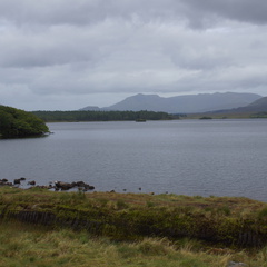 DSC03567
