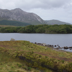 DSC03570