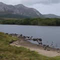 DSC03572