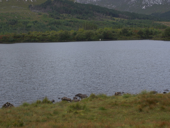 DSC03575