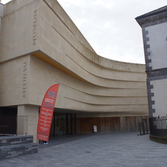 DSC03606