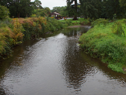 DSC03649