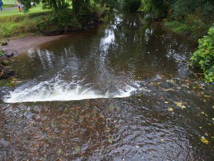DSC03650