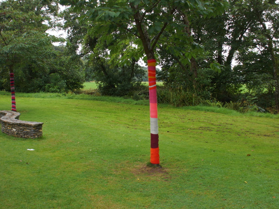 DSC03651