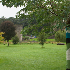 DSC03655