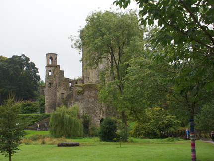 DSC03656