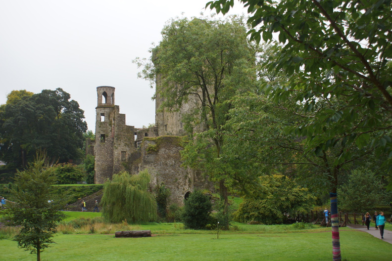 DSC03656.jpg