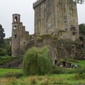 DSC03660
