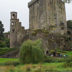 DSC03660